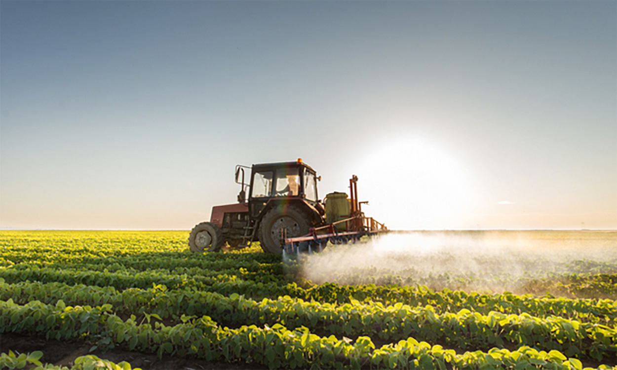 Tractor spraying soybean.