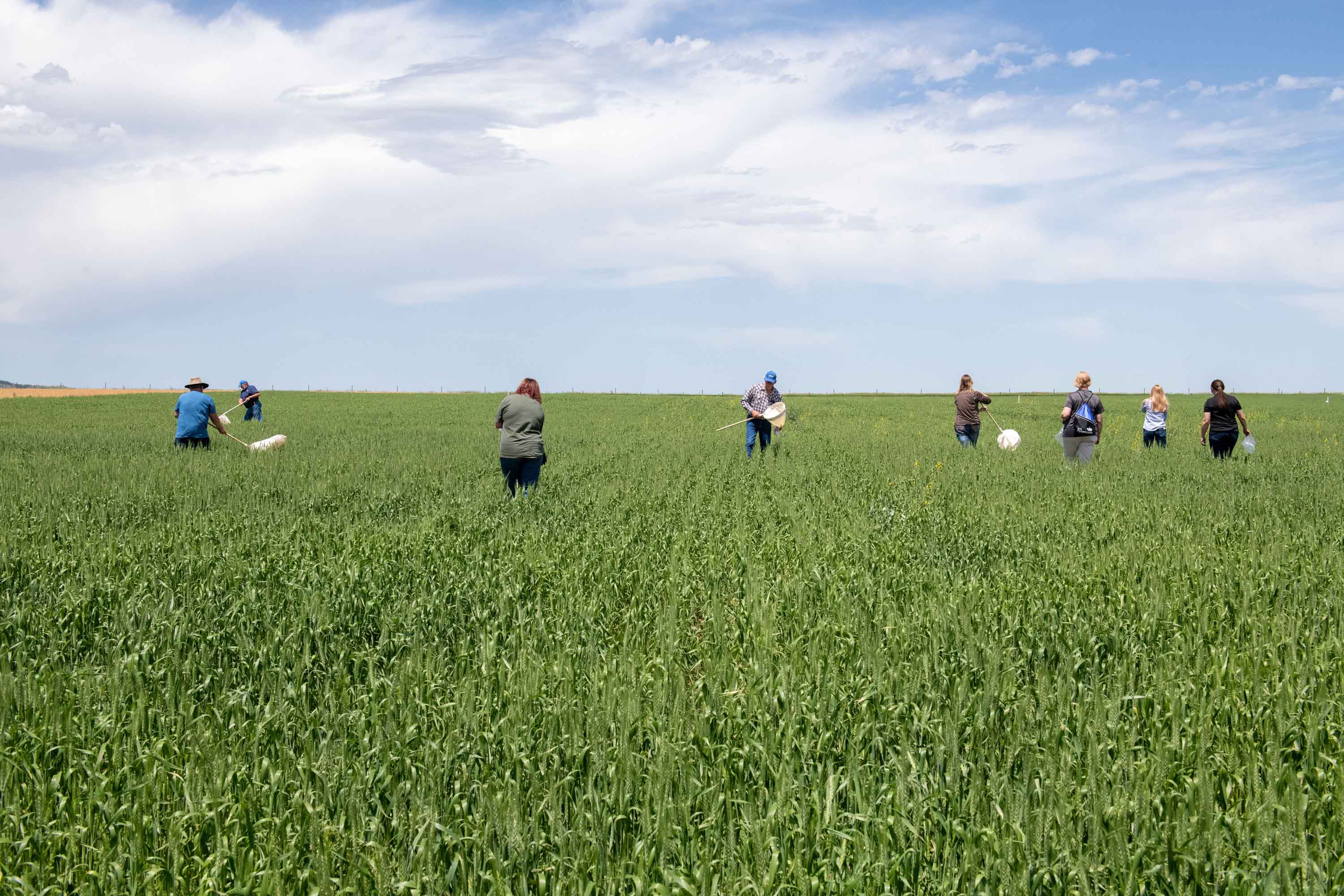 Seven people stand at a distance in a green field. The sky is blue with a large cloud stretching across most of the horizon