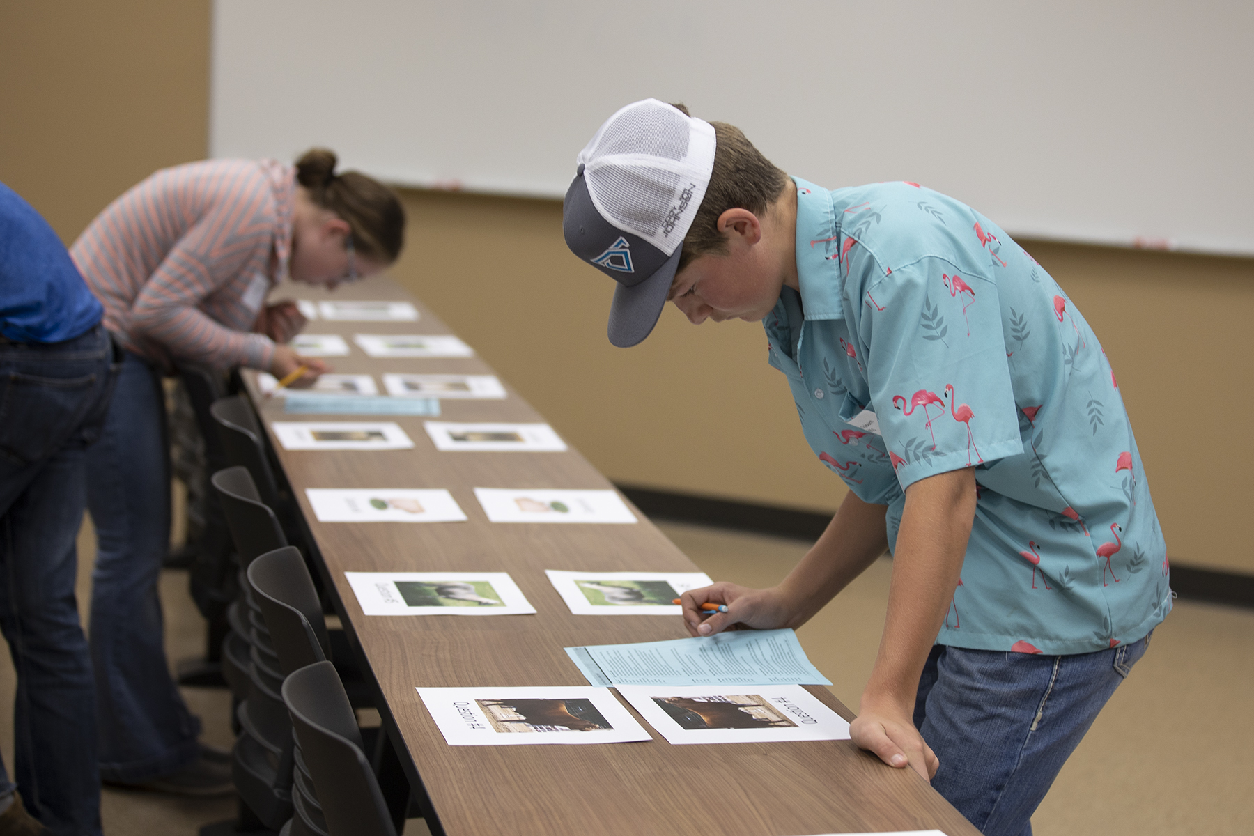 Youth participating in the State 4-H Livestock Skill-a-Thon