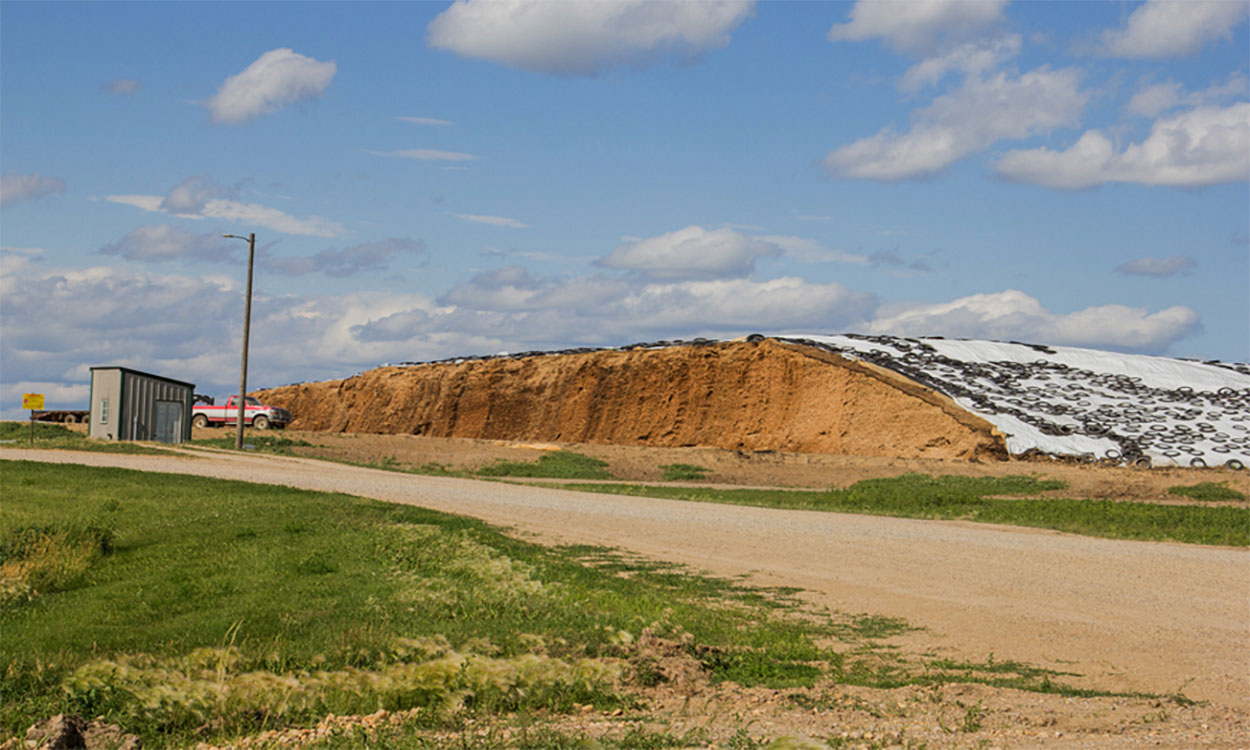 Silage pile covered with tarp and weighted down with tires.