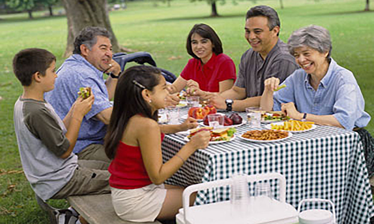 An extended family having a picnic at a park on a summer day.