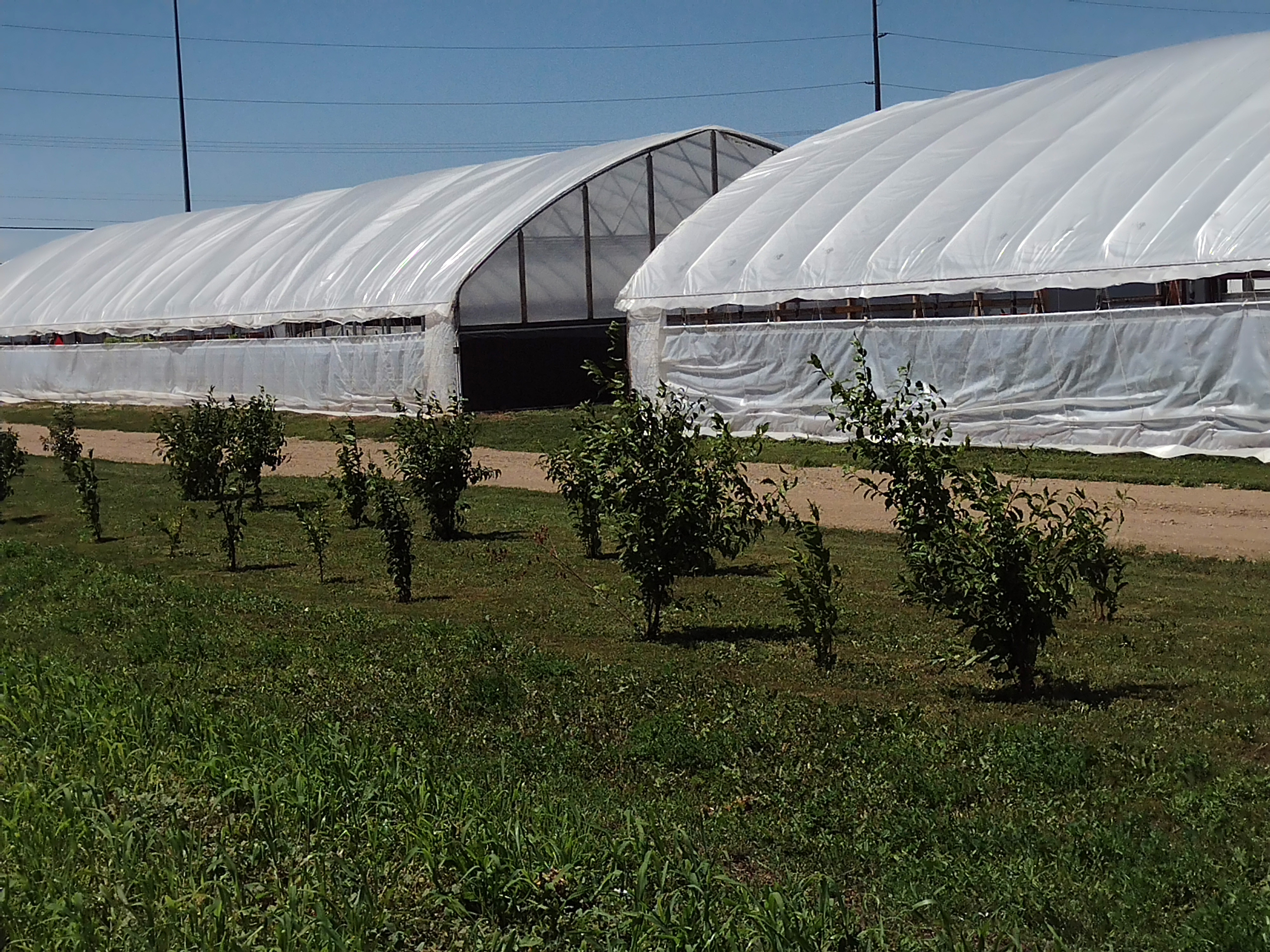 a metal structure with white tarps wrapped over it, resembling a hoop shape