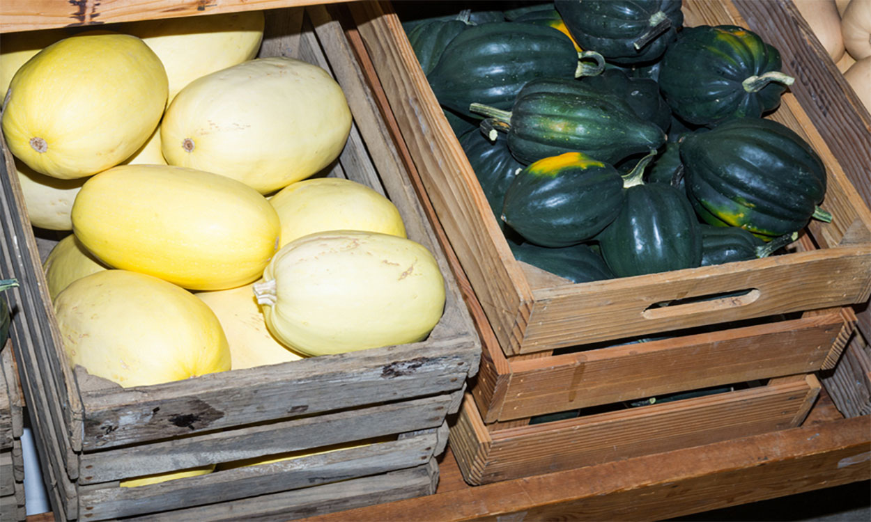 Winter squash in storage crates.