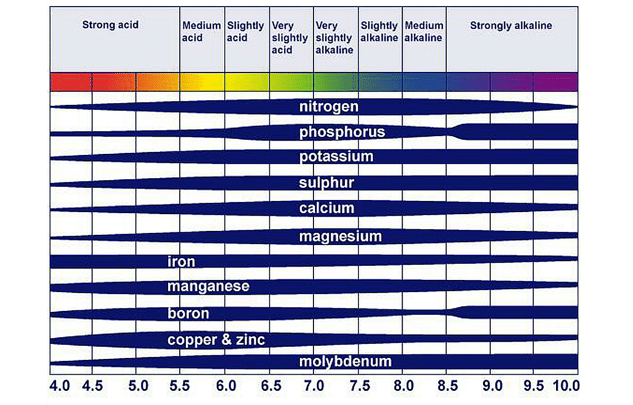 Spectrum graph showing soil nutrient availability in relation to pH. For a detailed description of this graphic, please call SDSU Extension at 605-688-6729.