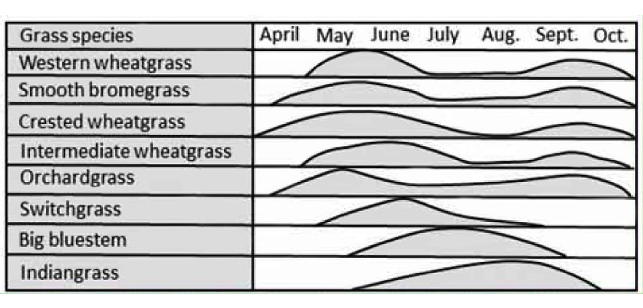 Smooth line charts showing the growth curves of various warm-season and cool-season grasses found in South Dakota rangelands. For a detailed description of this graphic and data set, please call SDSU Extension at 605-688-6729.