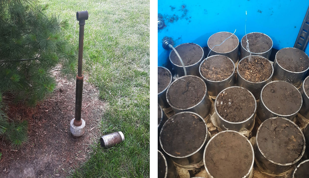 A soil coring device that has been pounded into ground. Next to it are trimmed samples in rings used to measure soil bulk density.