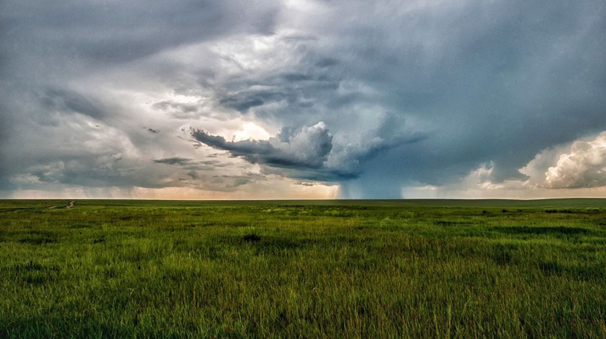 Storm clouds gathering over a vast, green field.