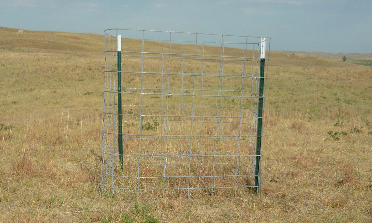 Grazing exclosure constructed in a rangeland area.