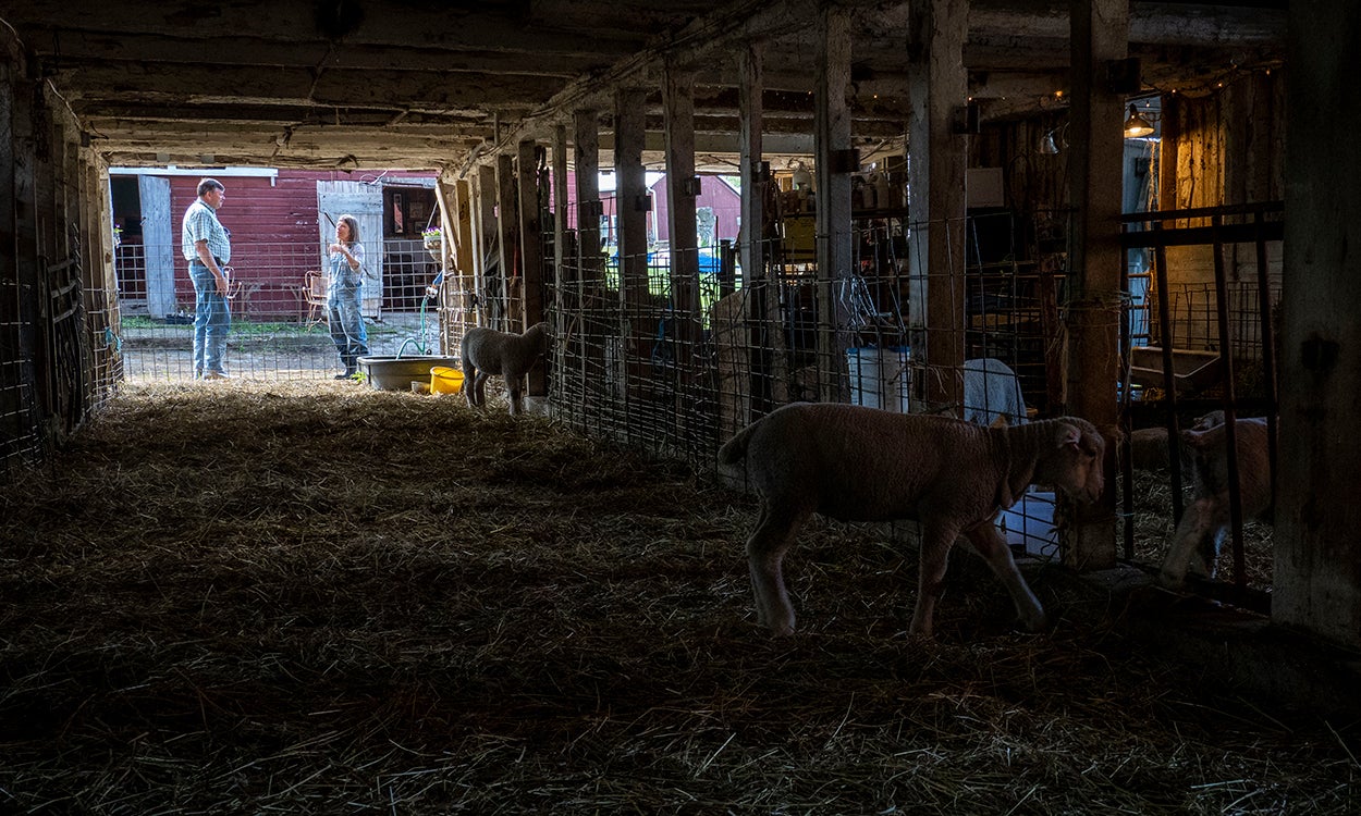 Sheep producers having a discussion outside a lambing barn.