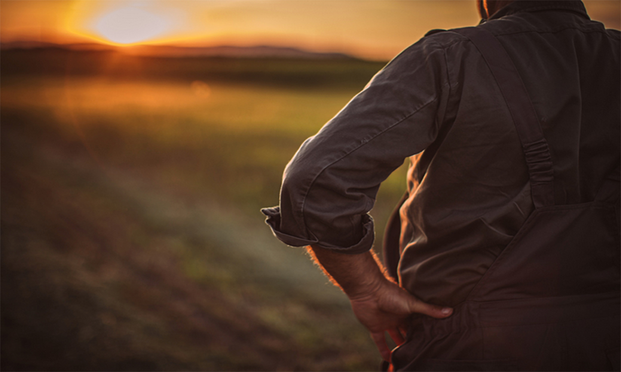 Producer observing a bare field in late autumn.