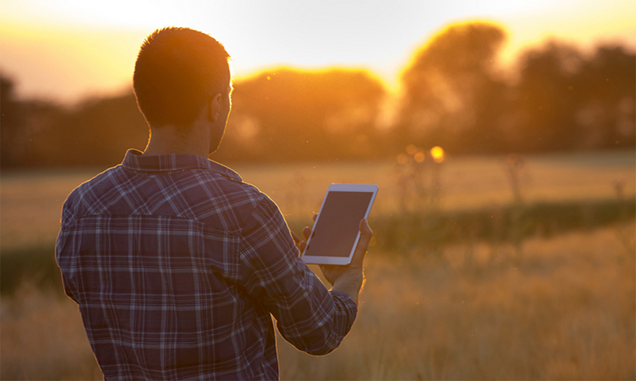 Producer with tablet observing a field in late autumn.