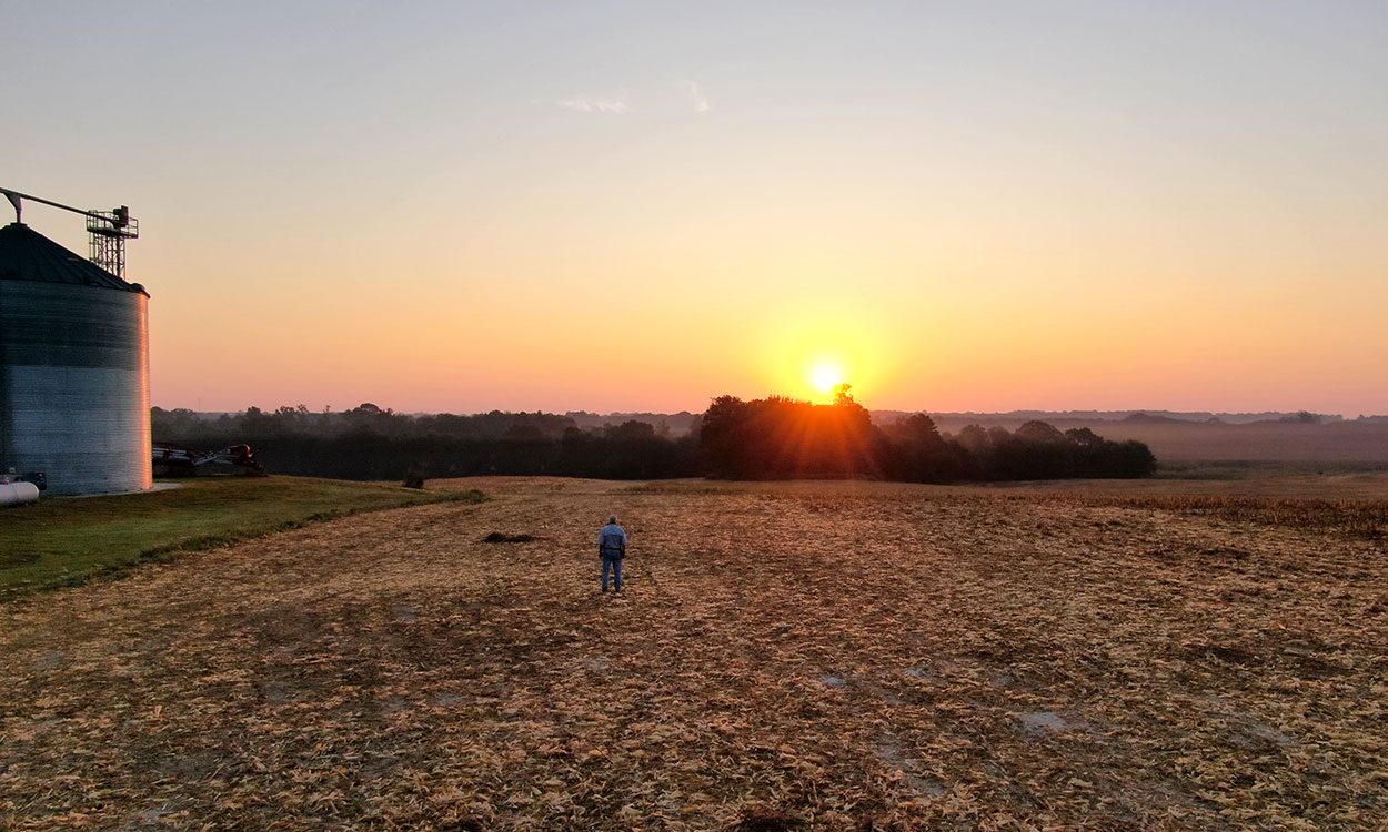 Farmer standing in a no-till field at sunset.
