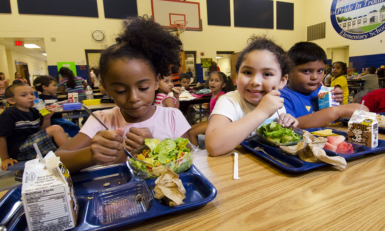 Group of children enjoying school lunch in an elementary school cafeteria.