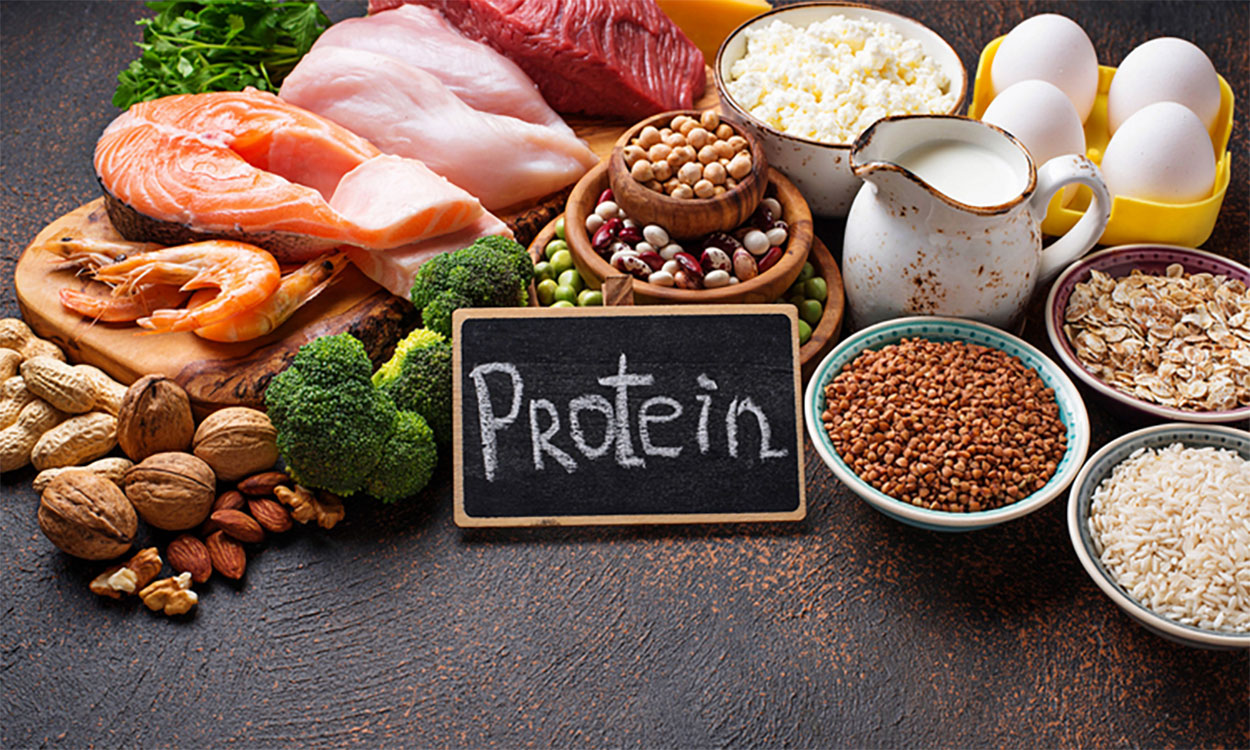 Chalkboard with the word “Protein” written on it displayed among various animal and vegetable protein sources.