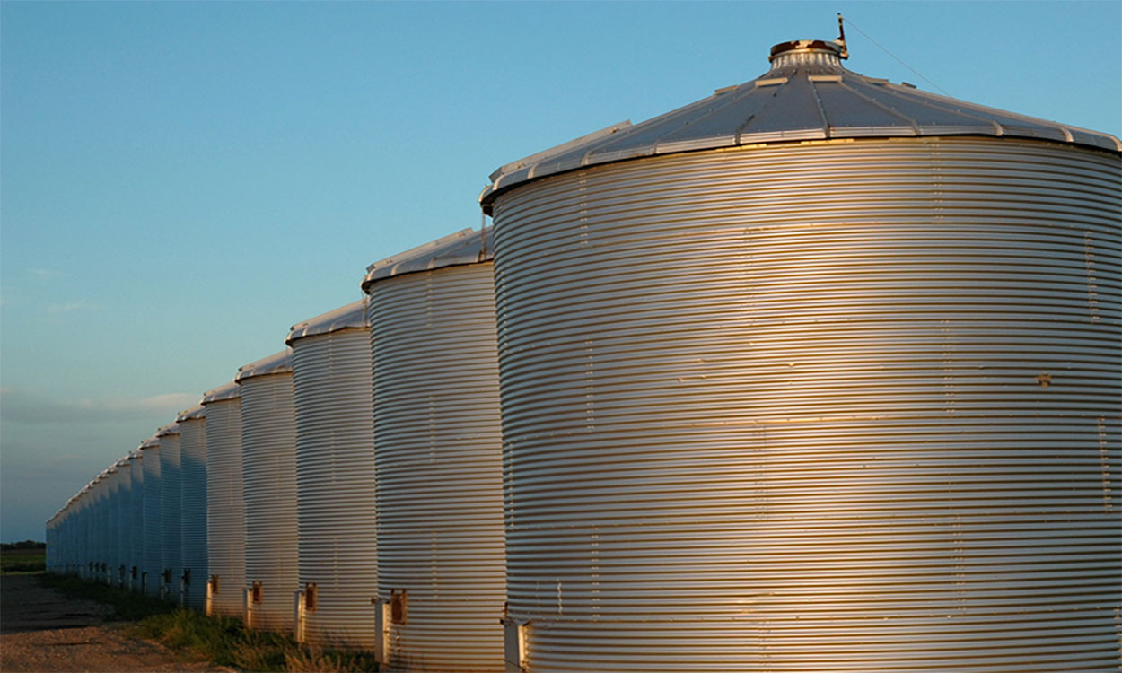 Row of well-maintained grain bins alongside a field.