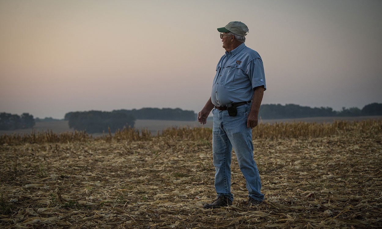 Farmer standing in a no-till field.