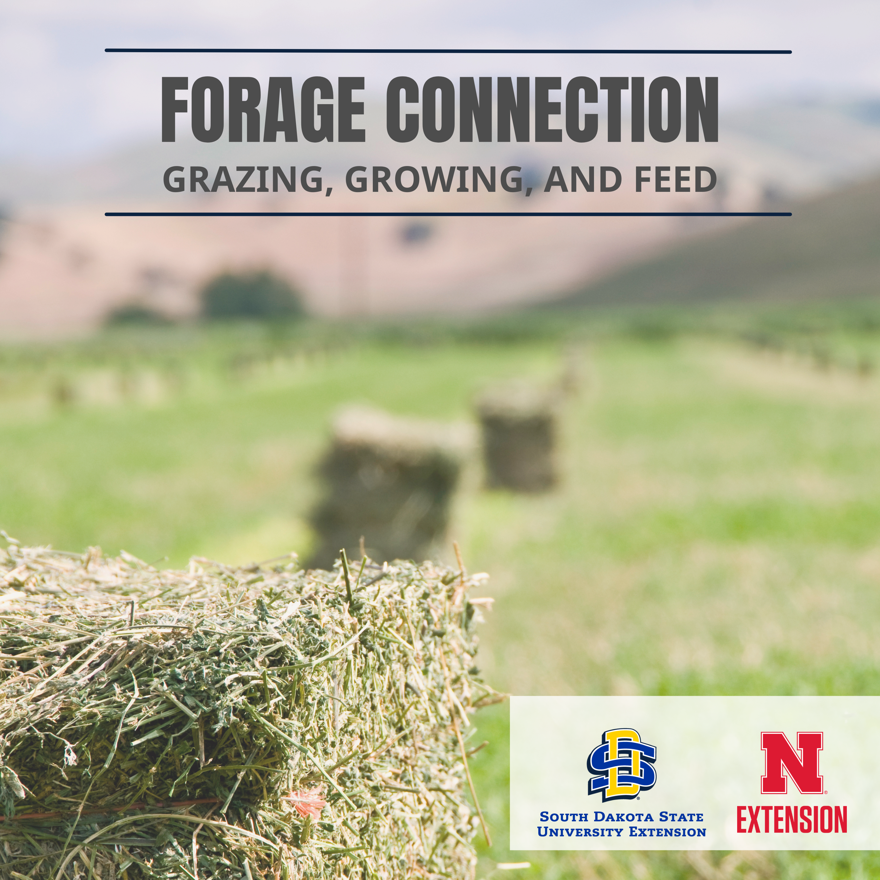 Forage Connection: Grazing, Growing and Feed podcast cover art