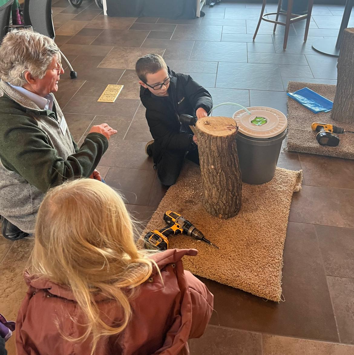 A boy drills a tap into a tree stump during a Maple Syrup Workshop at McCrory Gardens