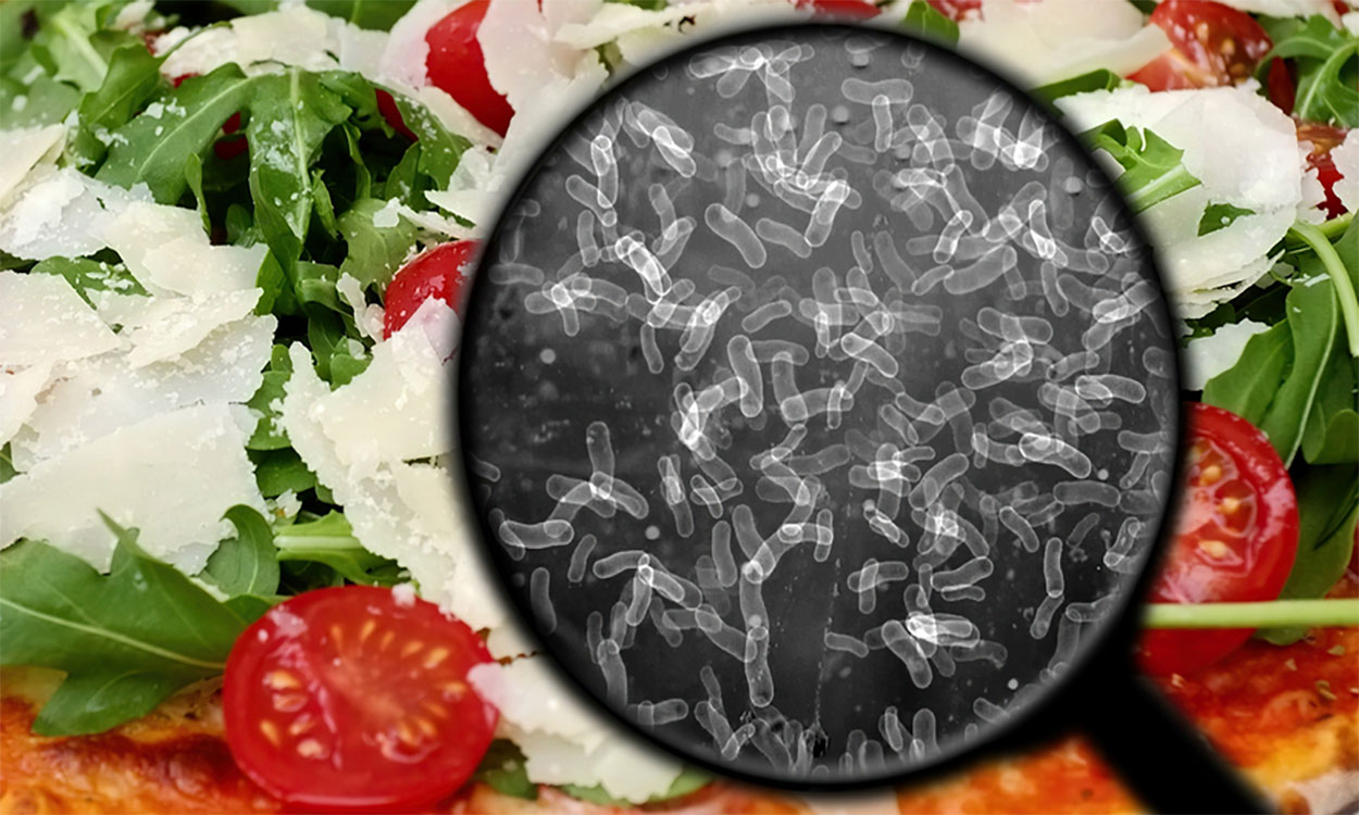 Magnifying glass reveals bacteria in a salad.