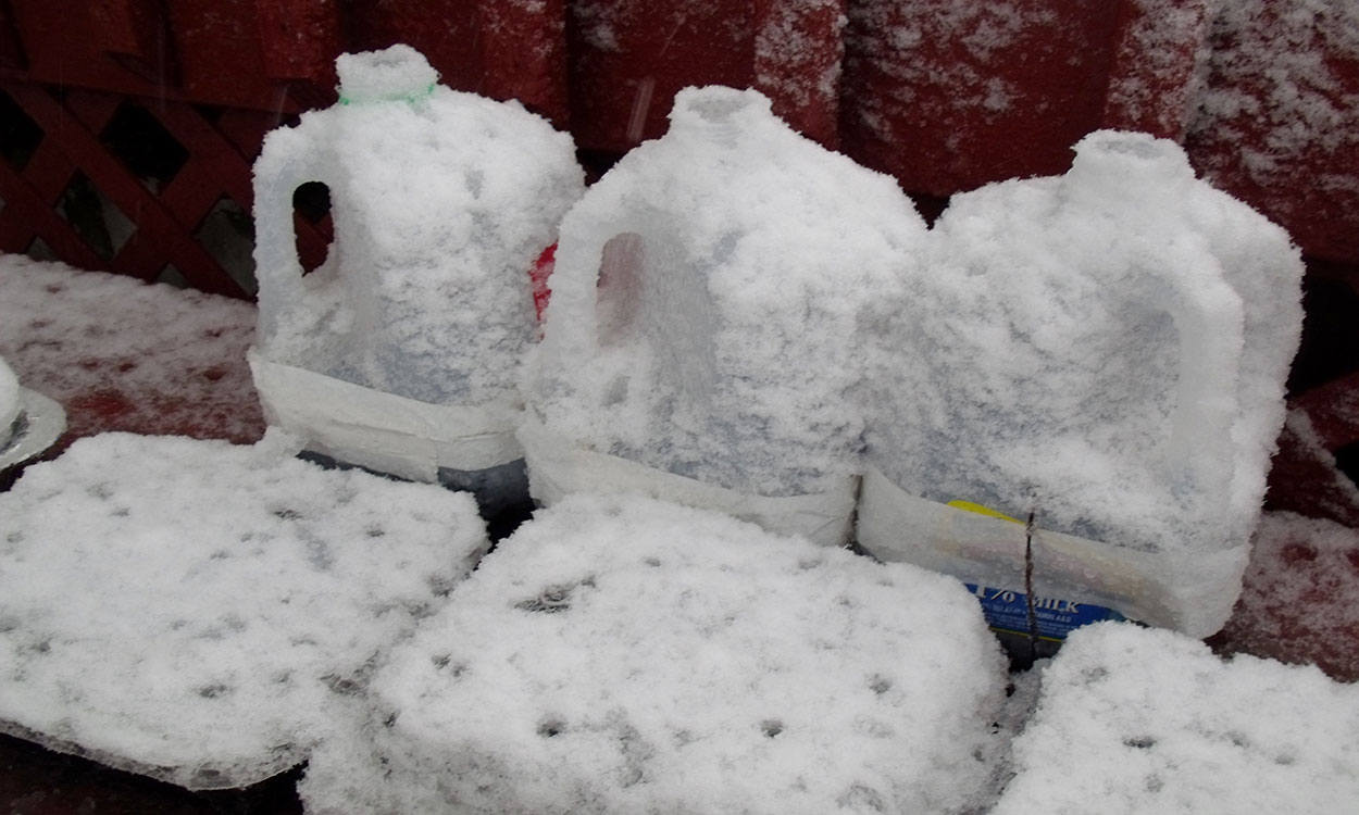 Snow-covered plastic containers with seeds and medium in a winter garden.