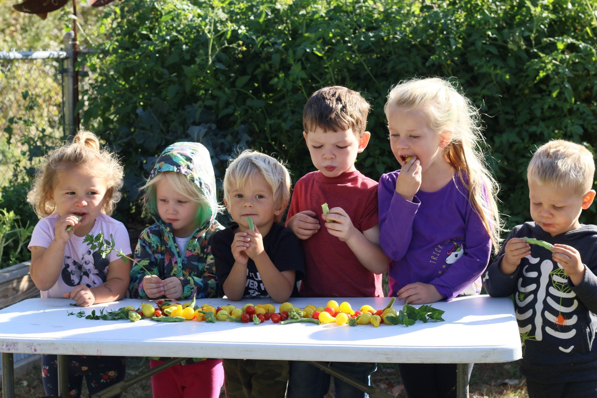 Group of children eating fresh vegetables