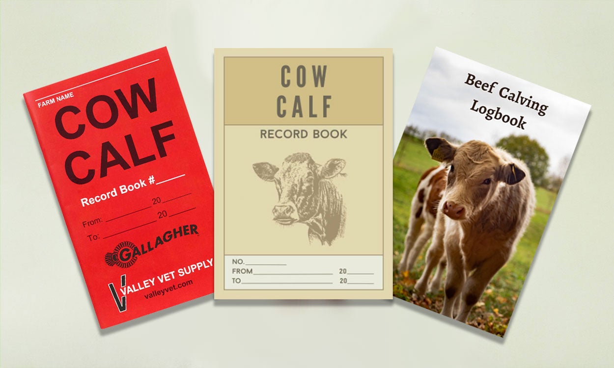 Three generic cow/calf books from various companies and businesses. On the left is a red colored record book sponsored by Gallagher and Valley Vet SupplyTM, the middle photo is a generic tan colored record book with a picture of a cow head on the cover, and the photo on the right of the row is a custom calving book where you can upload your own picture on the cover.