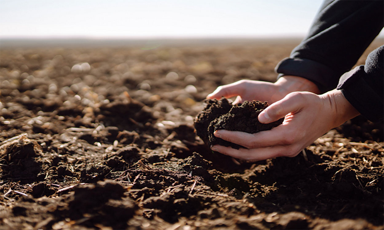 Producer holding soil in cupped hands over a bare field in early spring.