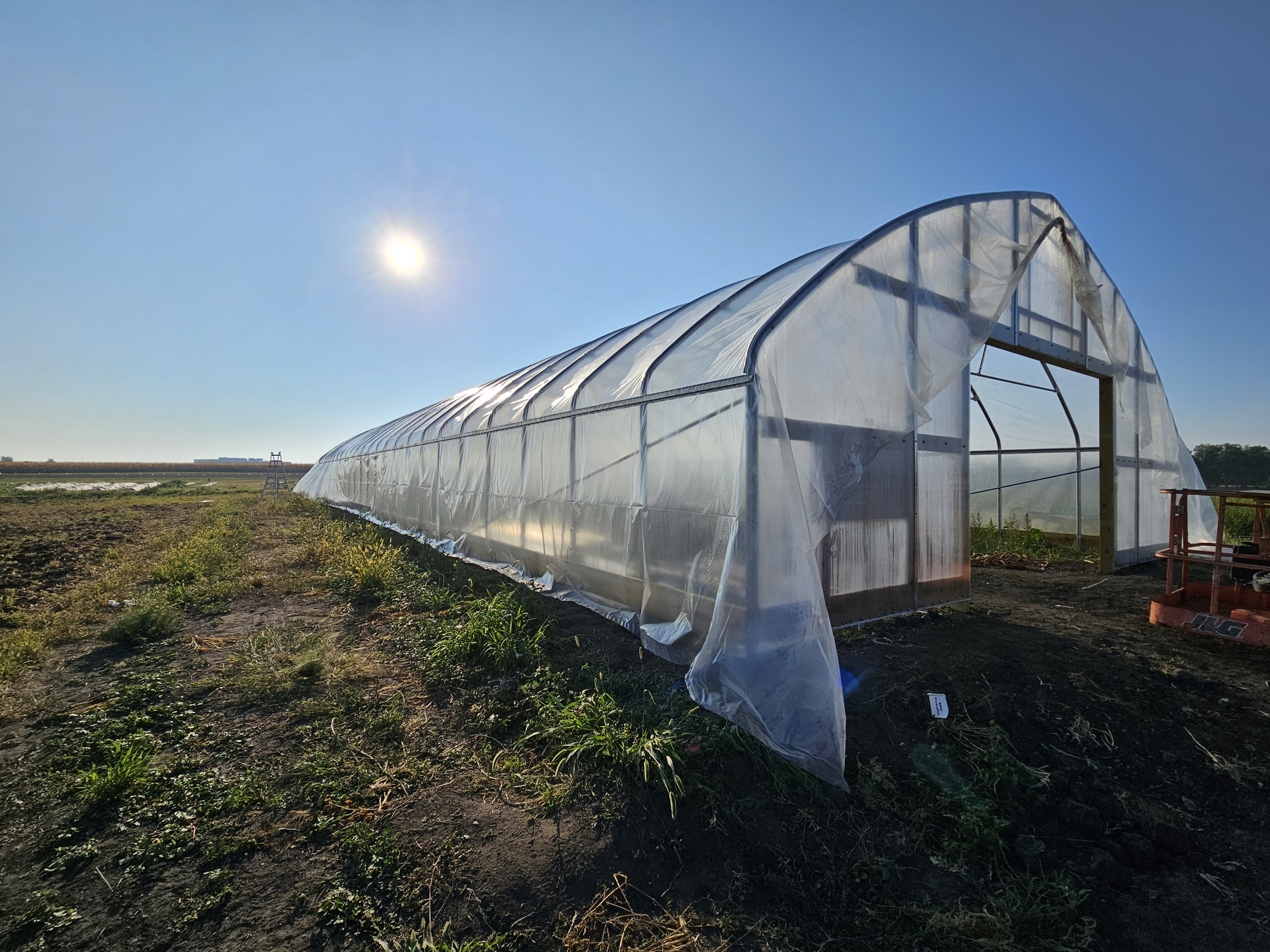 A metal high tunnel enclosed in plastic is in a field