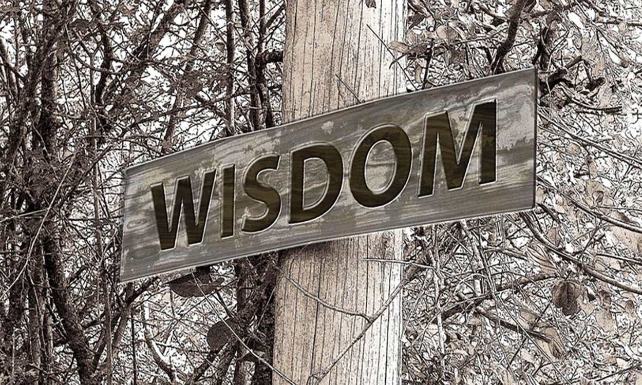 Sign reading "wisdom" outside a wooded area.