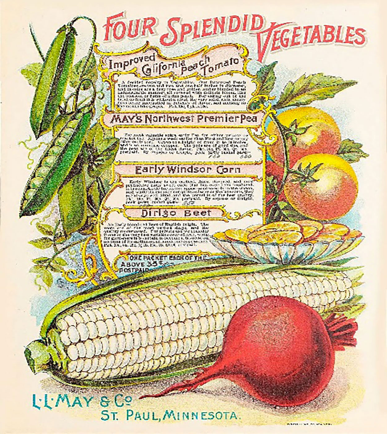 Antique Seed Packet – Four Splendid Vegetables