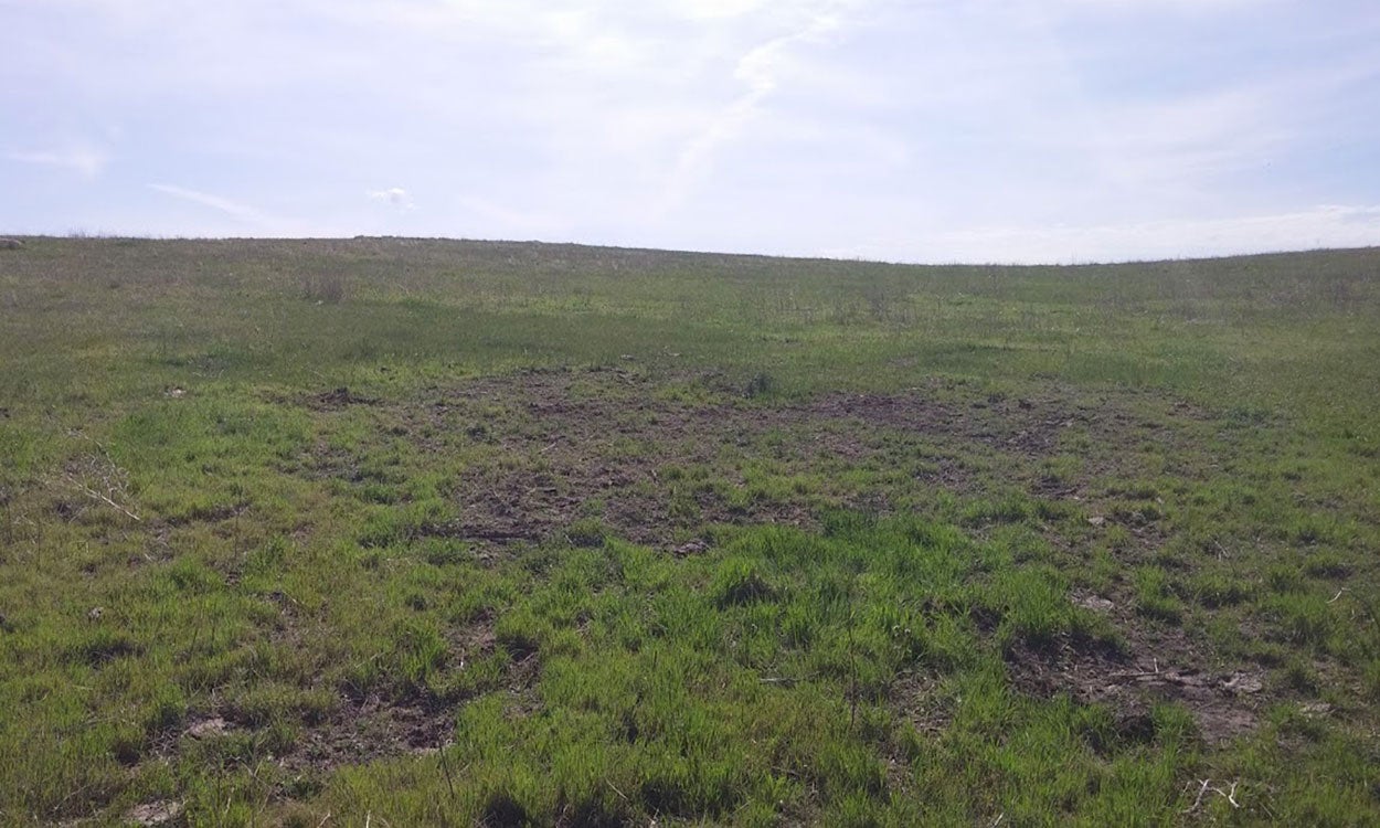 A green pasture with patches of bare soil under a blue sky containing several wispy white clouds.