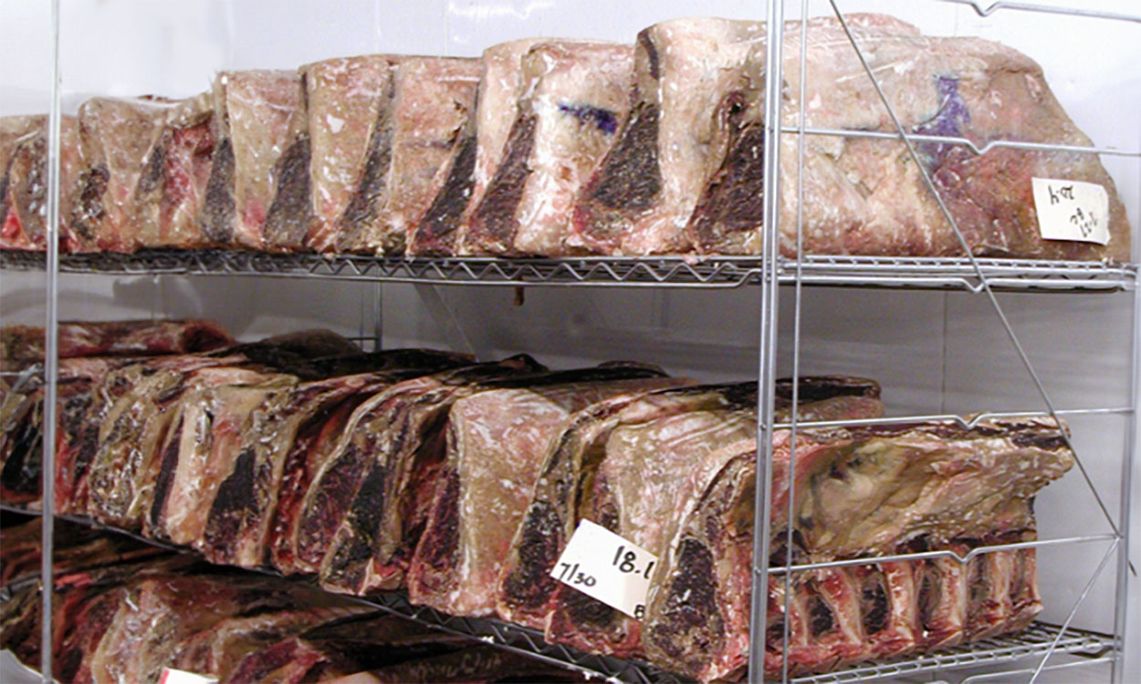 Beef cuts being dry aged at a meat locker.