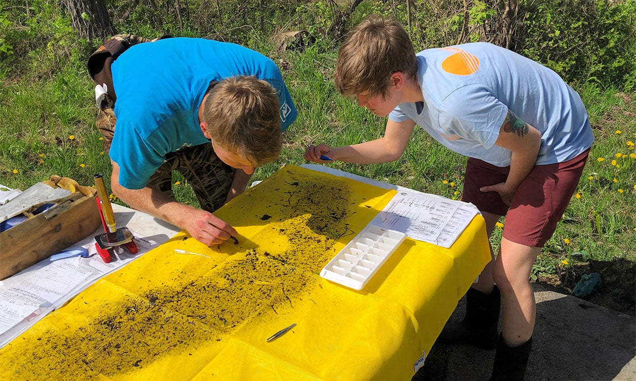 Two young males sorting and identifying aquatic invertebrates on a yellow tarp.
