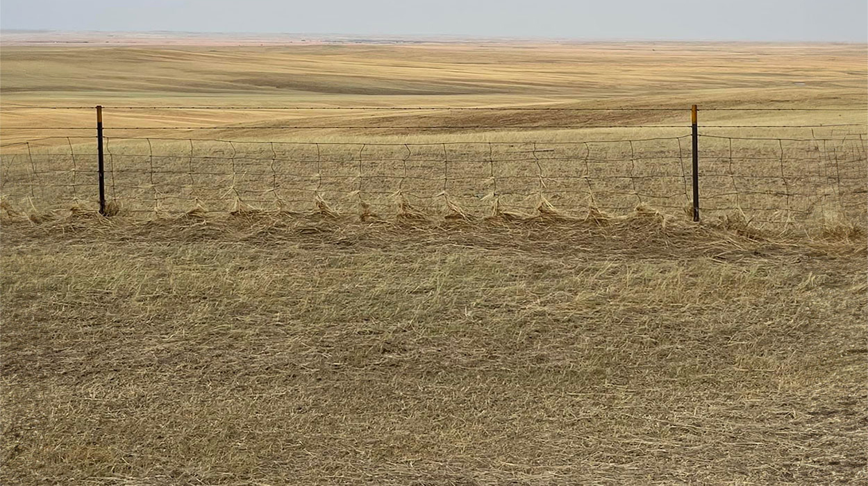 Fence line along a storm-damaged pasture in Butte County, South Dakota.