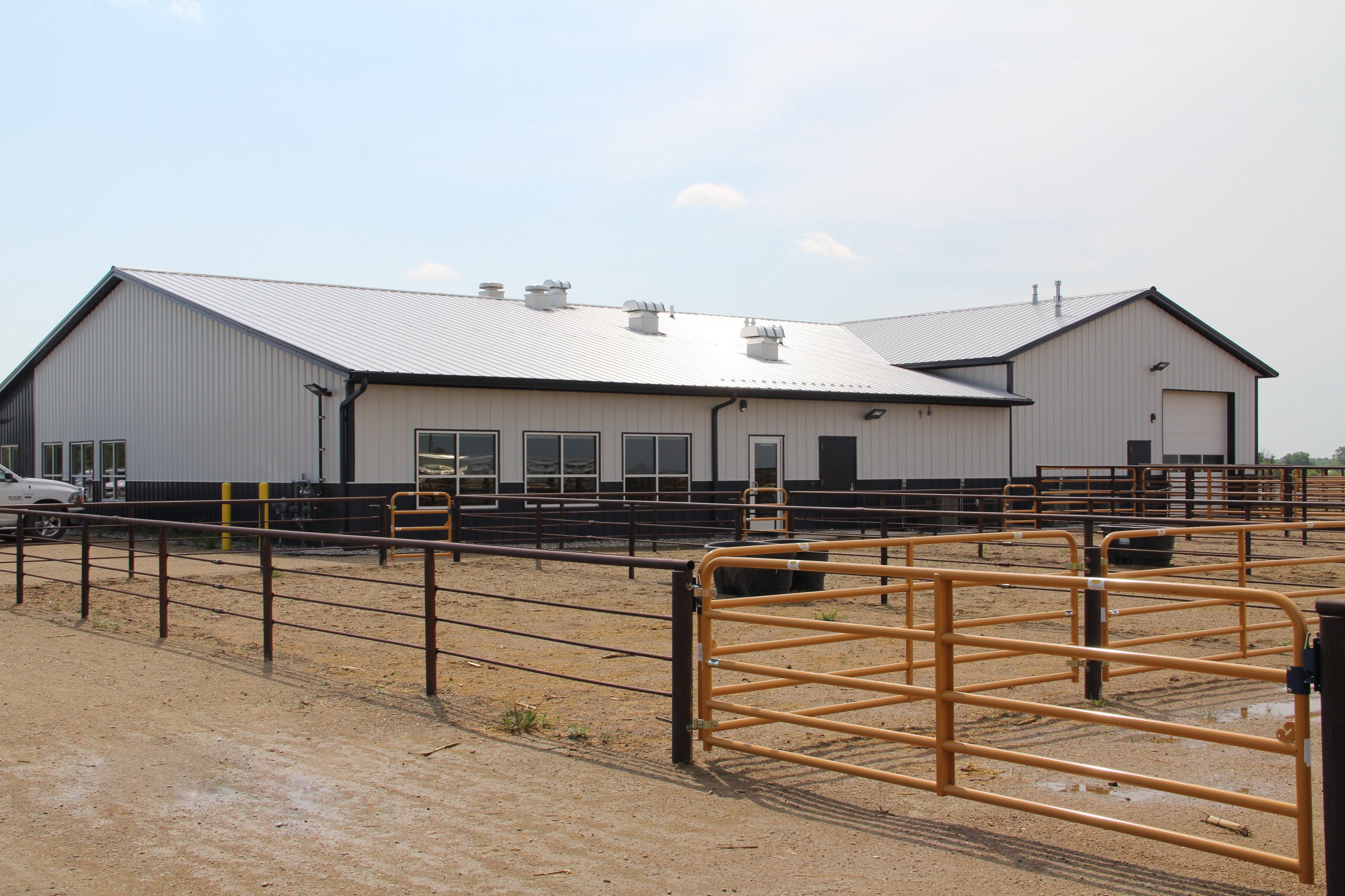 A long white barn is in the background with rows of pens in the foreground
