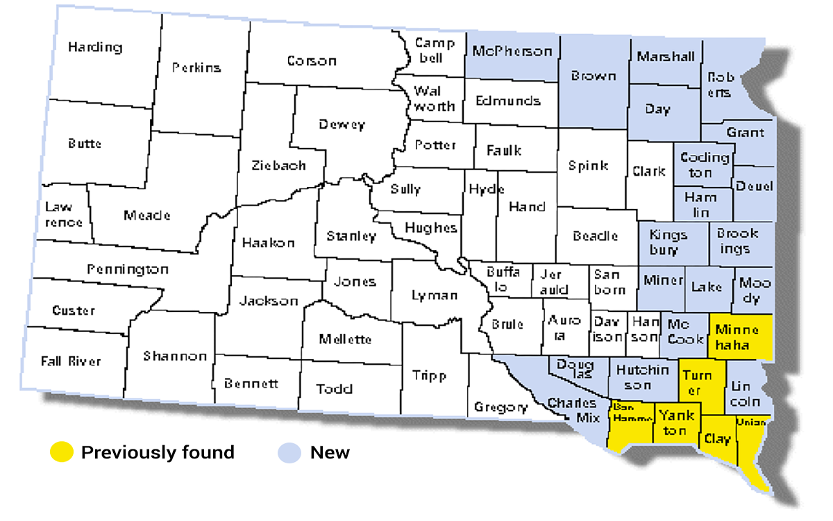 Color-coded map of South Dakota showing past and new counties with positive tar spot cases. For a detailed description, please call SDSU Extension at 605-688-4792.
