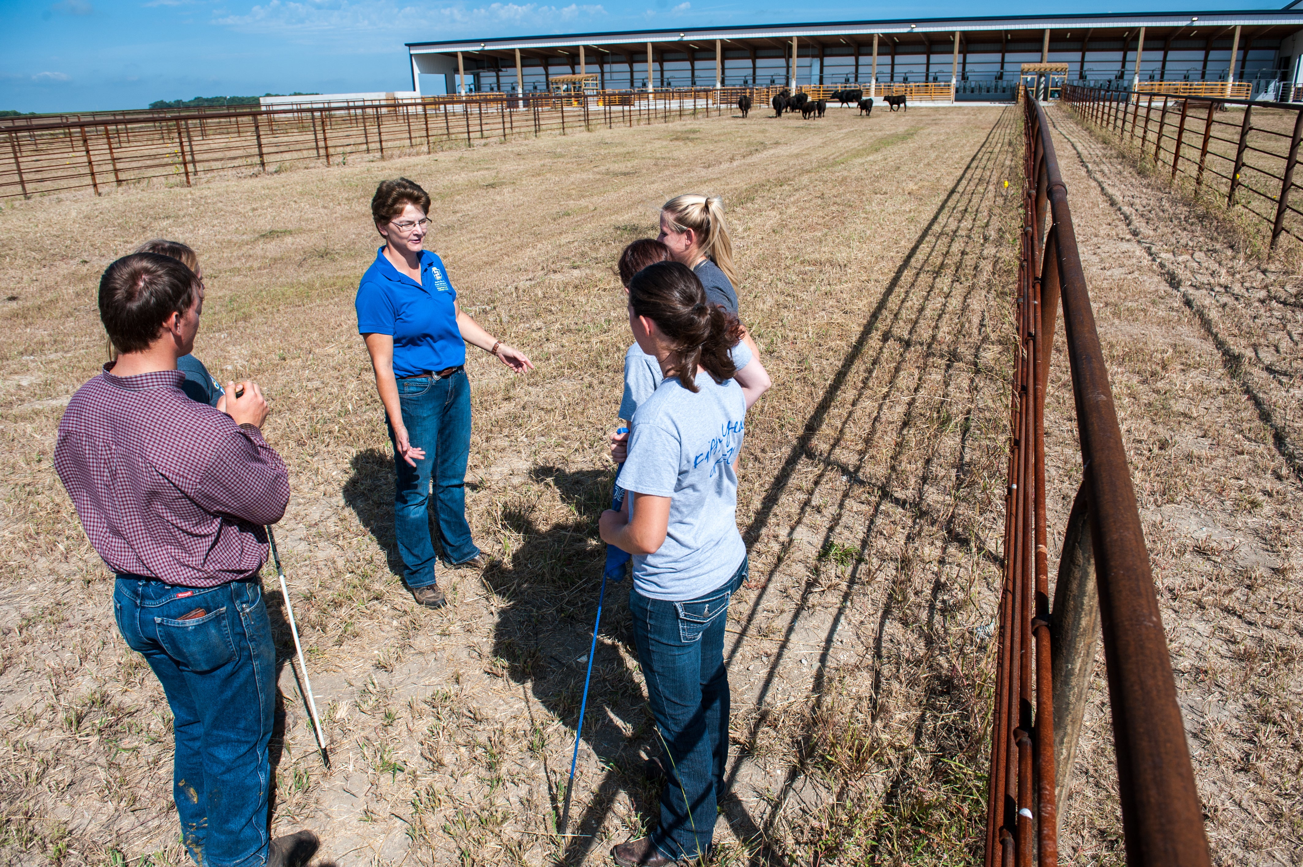 A group of five people stands in a circle inside a group of pens
