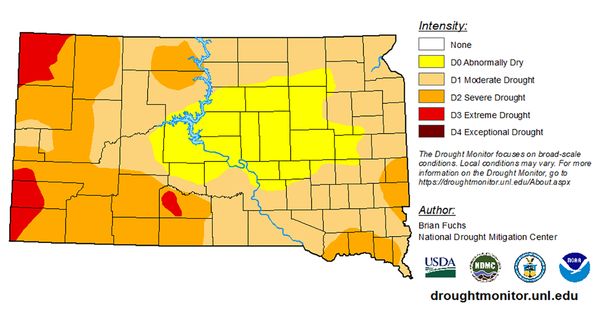 Color-coded map of South Dakota indicating drought status throughout the state. As of October 15, 2024, the majority of the state is experiencing varying levels of drought.