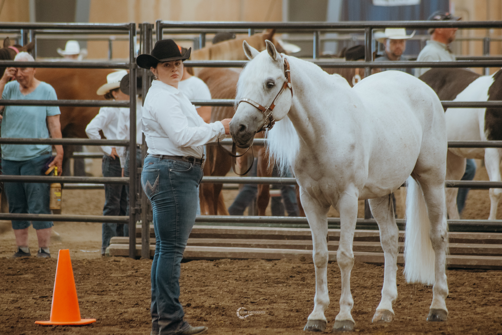 A girl in a black cowboy hat holds a white horse in a show ring