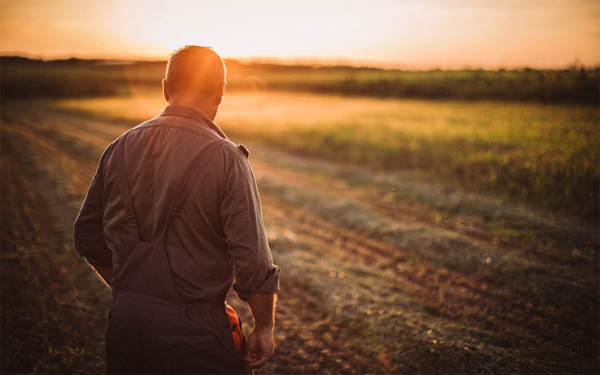 A farmer observing a field at sunset.