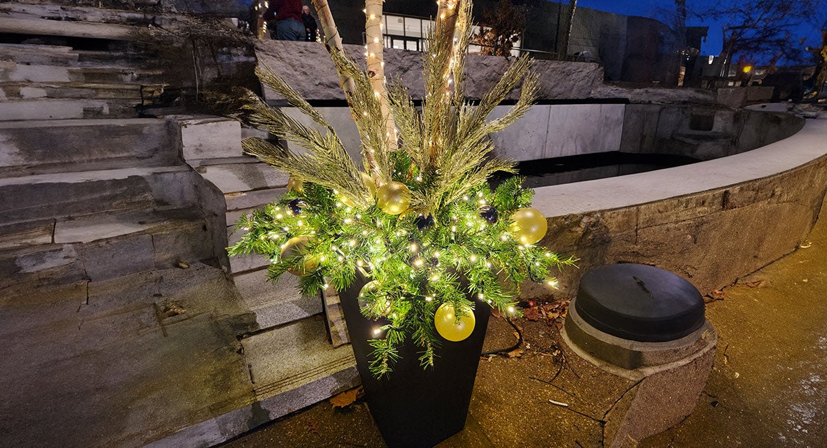 A porch pot adorned with Christmas lights on display at the Missouri Botanical Gardens.