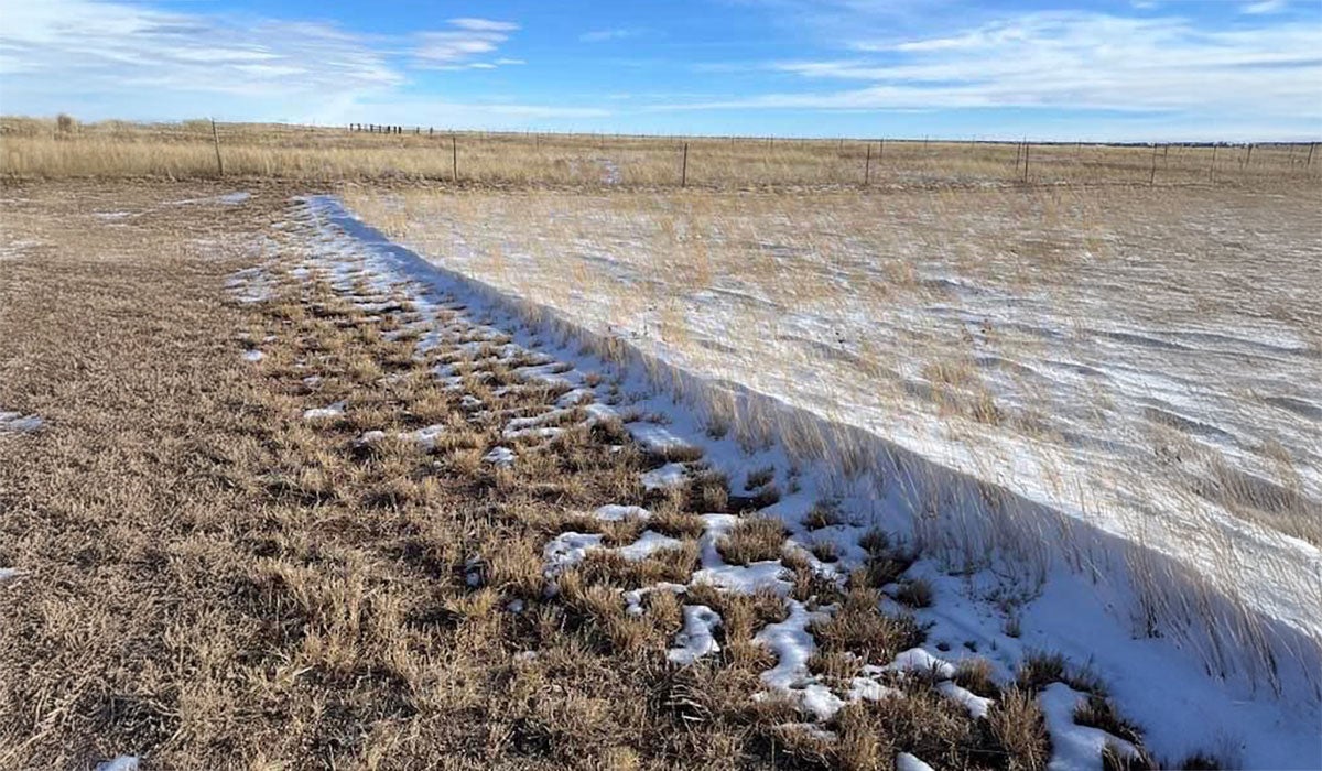 Two pastures side-by-side. The left has minimal snow capture due to reduced plant residue. The right has ample snow capture throughout due to increased plant residue.