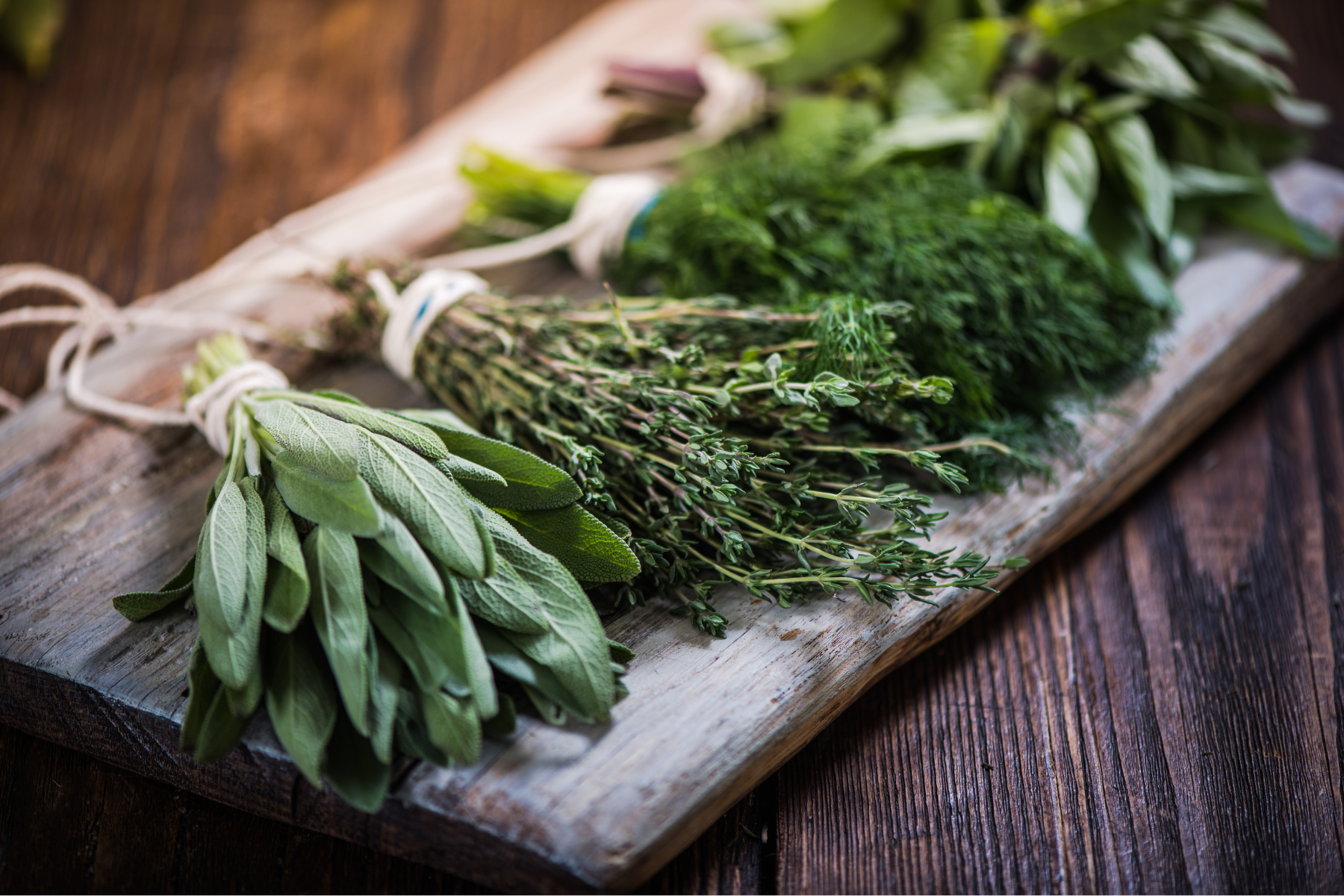 Bunches of herbs