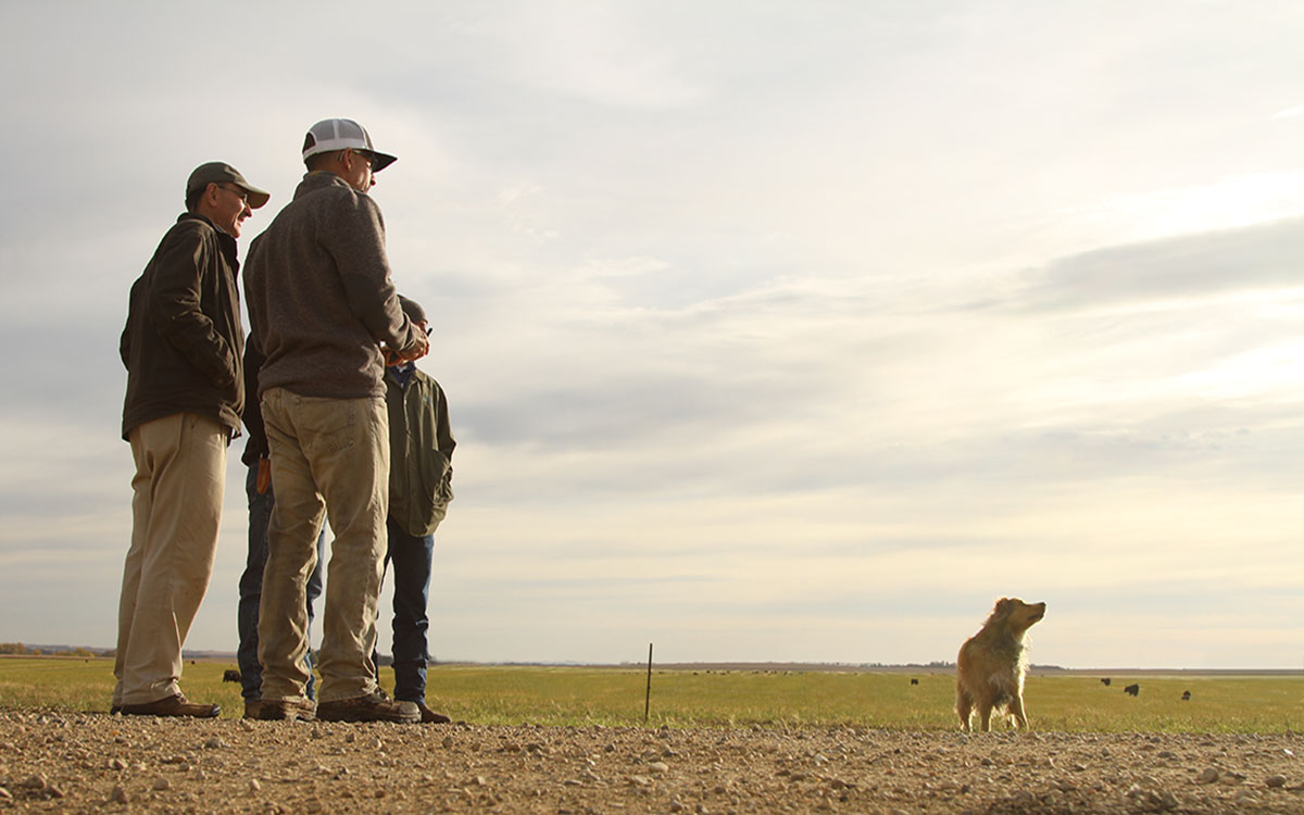 A group of producers surveying a grazing area in early spring.