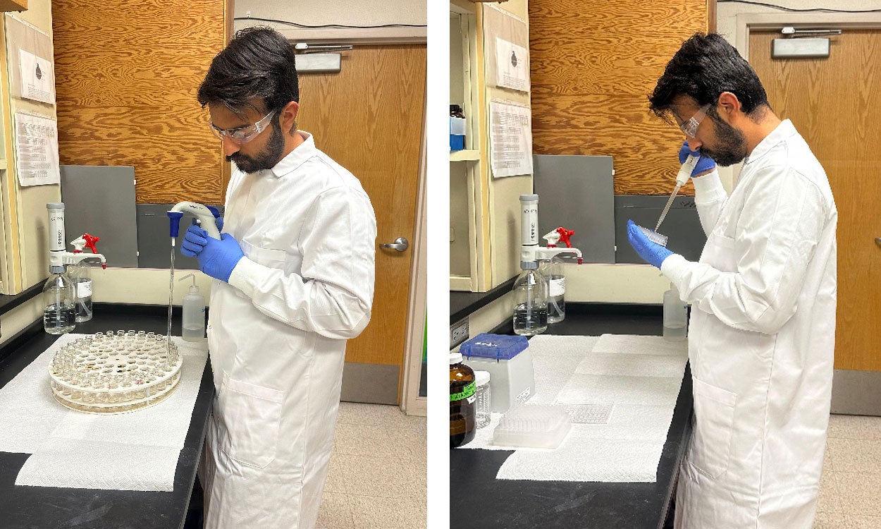 Two photos of a researcher measuring microbial biomass carbon and beta-glucosidase enzyme activity in soil.