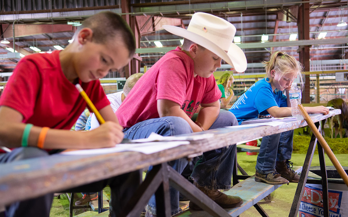 Group of 4-H Youth participating in a judging contest.