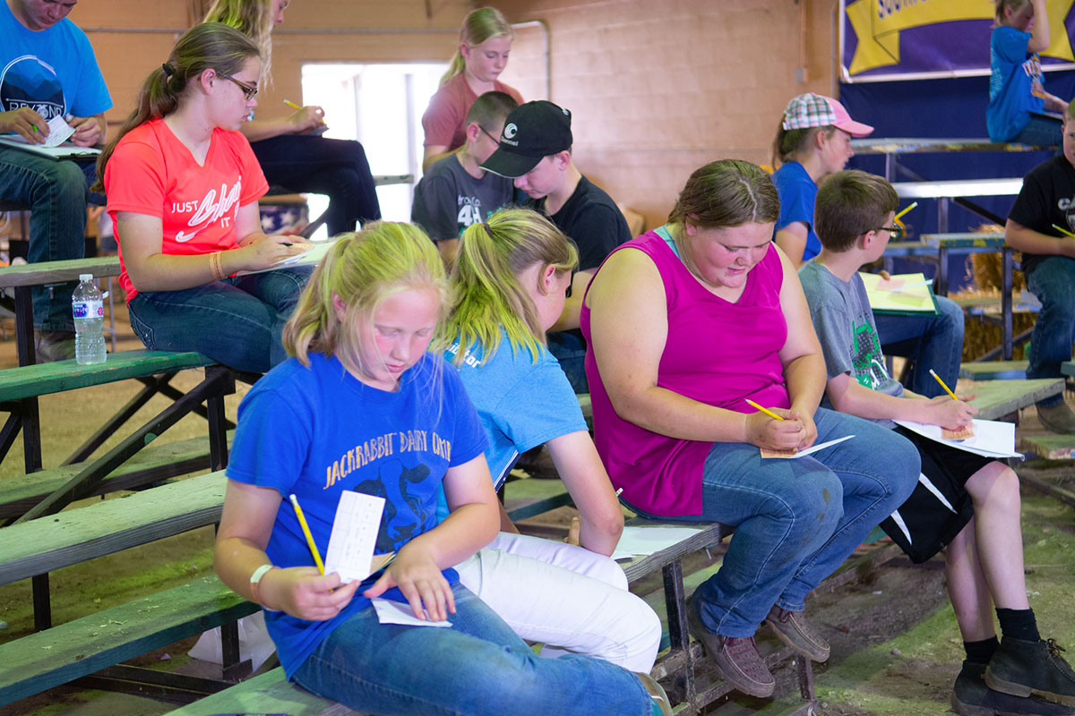 Group of youth gathered on bleachers at a 4-H judging and skill-a-thon competition.