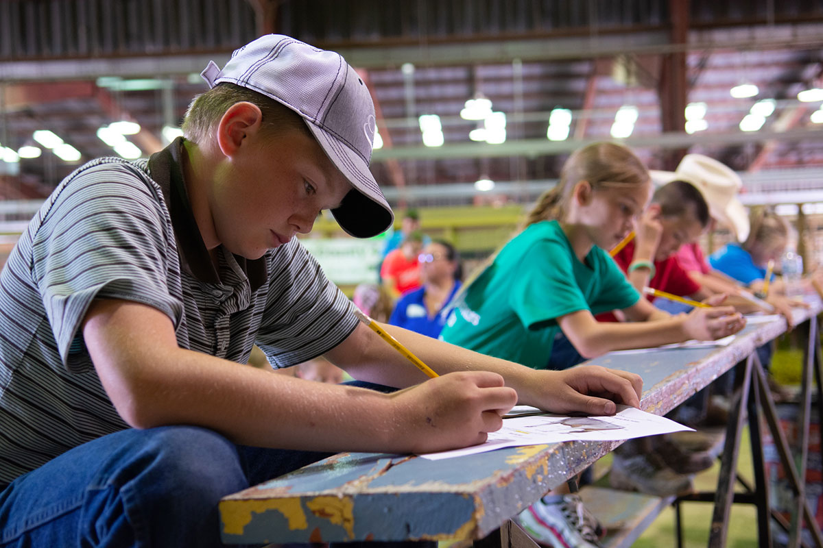 4-H youth filling out worksheets at a judging and skill-a-thon competition.