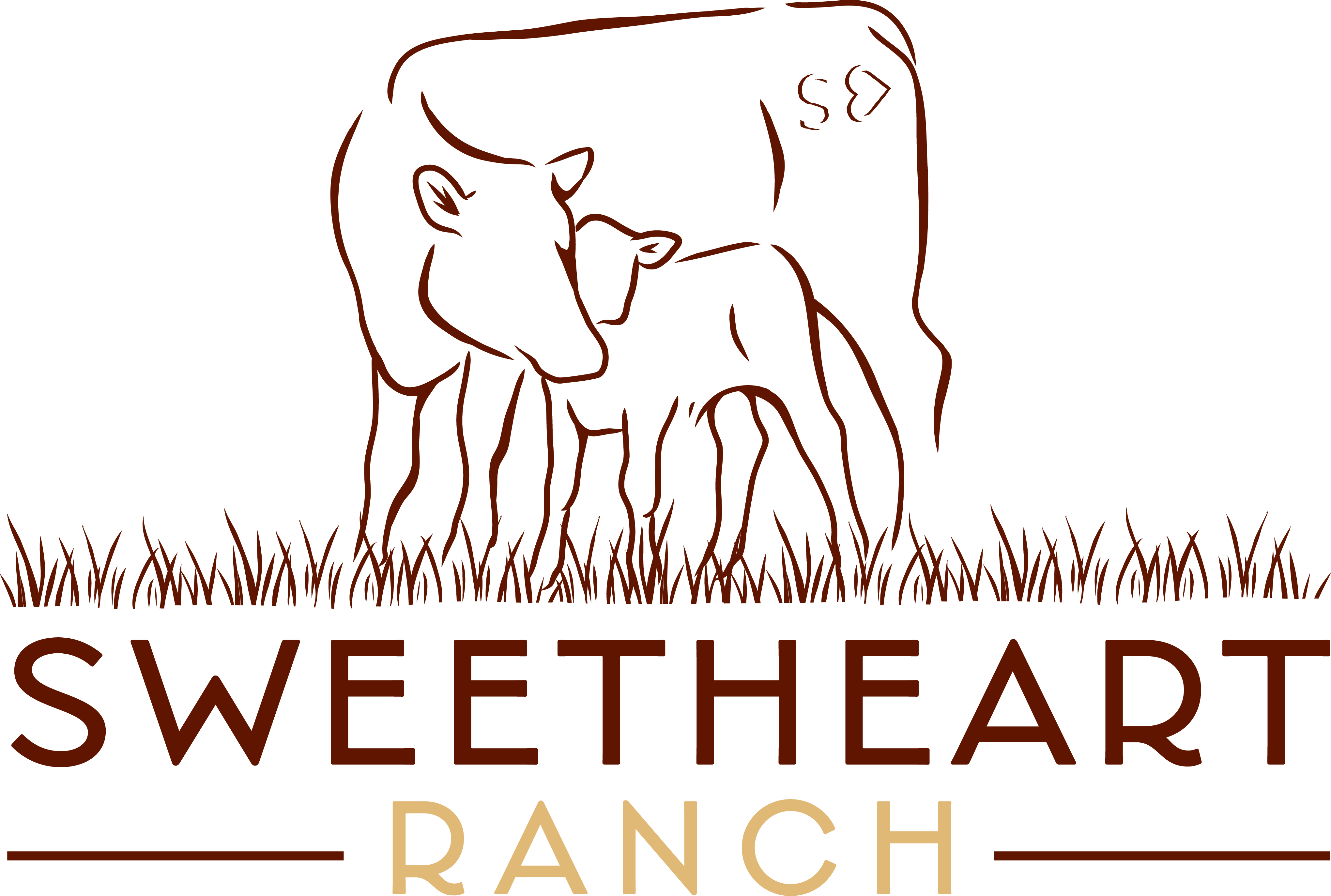 A logo of a cow with a calf over the words Sweetheart Ranch
