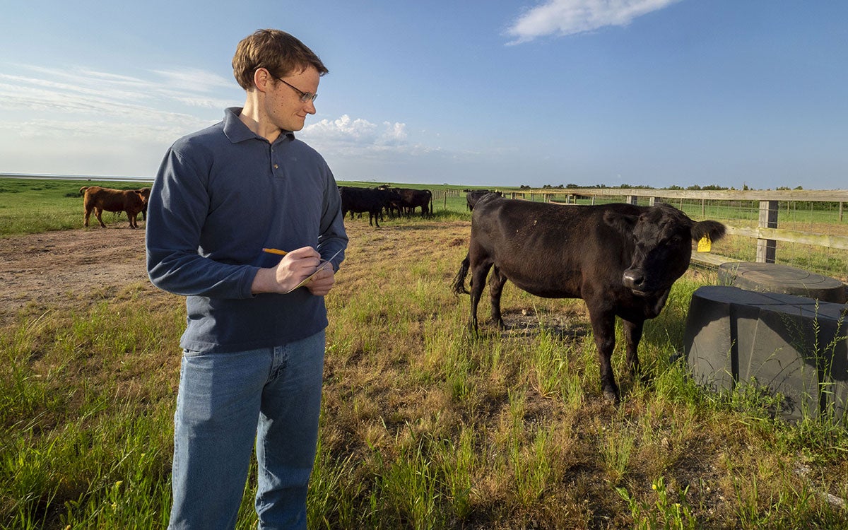 Producer with a notepad observing cattle in a pasture.
